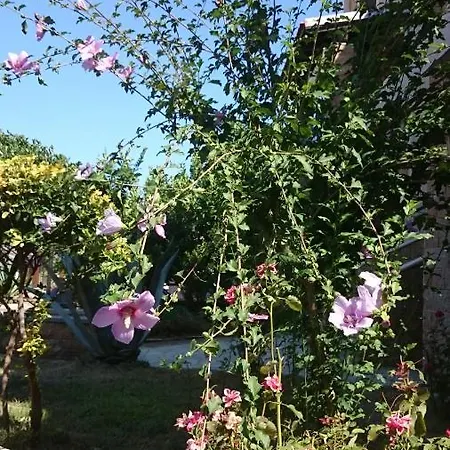 Ferienapartment At Ouranoupolis * Ouranoupoli