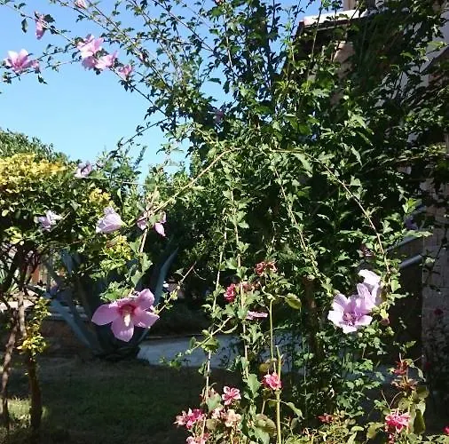 Ferienapartment At Ouranoupolis * Ouranoupoli